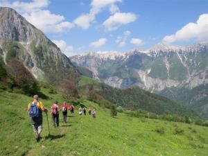 Uspešen 7. Dan Alpske konvencije 6